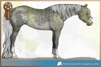 Horse Color:Silver Black Chinchilla 