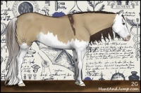 Horse Color:Liver Red Dun Splash 