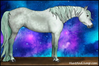 Horse Color:Gray Watercolor Grullo 