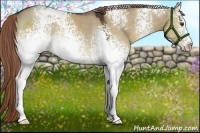 Horse Color:White Spotted Liver Red Dun Sabino Rabicano