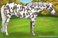 Horse Color:Liver Chestnut Mushroom Near Leopard 