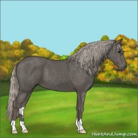 Horse Color:Silver Black 