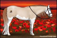 Horse Color:Smoky Blue Roan Pearl Splash