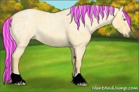 Horse Color:Painted Palomino Ice Roan Dun 