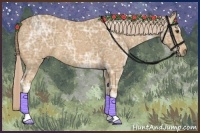 Horse Color:Palomino Ice 