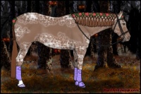 Horse Color:Chestnut Ice 