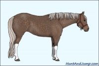 Horse Color:Silver Black 