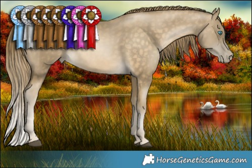 Horse Color:Brown Snowdrop Pearl 