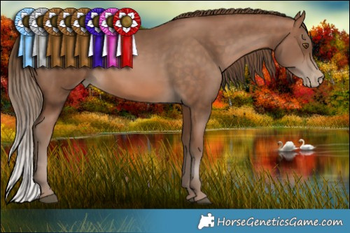 Horse Color:Brown Pearl 