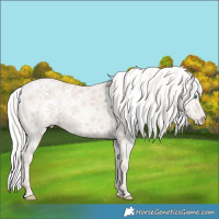 Horse Color:White Spotted Silver Perlino Dun Rabicano 
