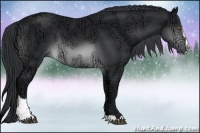 Horse Color:Brown Chinchilla Ice Sabino