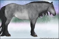 Horse Color:Brown Chinchilla Roan