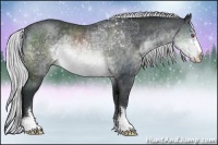 Horse Color:Silver Brown Chinchilla Sabino Rabicano