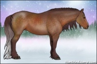 Horse Color:Chocolate Brown 