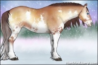 Horse Color:Chocolate Bay Onyx Splash 