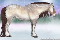 Horse Color:Chocolate Brown Ice Roan Onyx