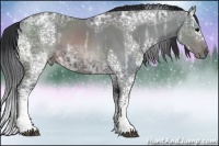 Horse Color:White Spotted Brown Ice Sabino 