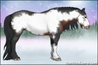 Horse Color:Brown Frame 