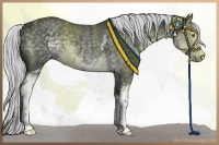 Horse Color:White Spotted Silver Black Chinchilla 