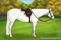 Horse Color:Cremello Dun 