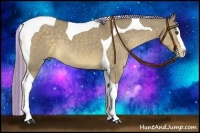 Horse Color:Painted Chocolate Palomino Dun Splash Tobiano 
