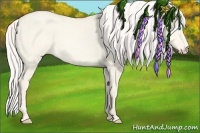 Horse Color:Cremello Dun 
