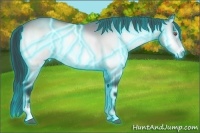 Horse Color:Thunderstruck Brown Chinchilla Onyx Sabino Rabicano