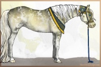 Horse Color:White Spotted Liver Red Onyx Sabino Splash Rabicano