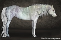 Horse Color:Silver Brown Chinchilla Ice 
