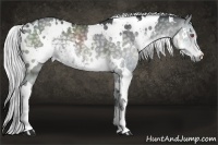 Horse Color:White Spotted Silver Smoky Black Chinchilla 