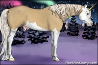 Horse Color:Palomino Dun Splash 