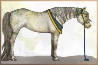 Horse Color:White Spotted Liver Red Dun Ice 