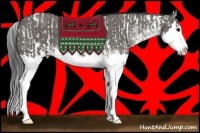 Horse Color:Grullo Sabino Splash  and Grullo Sabino Splash 