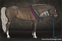 Horse Color:White Spotted Silver Brown Sabino 