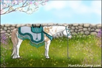 Horse Color:Buckskin Dun Appaloosa