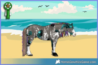 Horse Color:ERROR: UNKNOWN ANOMALY and Grullo Sabino Splash