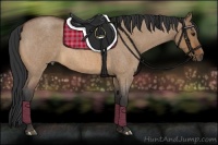 Horse Color:Bay Roan Dun 