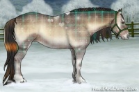 Horse Color:Plaid  Liver Red Onyx Sabino 
