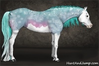 Horse Color:Watercolor Buckskin Ice Splash