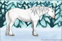 Horse Color:Gray Silver Amber Cream Champagne Roan Dun Splash Tobiano Frame Appaloosa Rabicano 