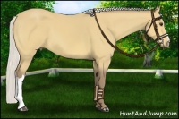 Horse Color:Chocolate Silver Buckskin