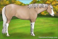 Horse Color:Silver Black Pearl Splash