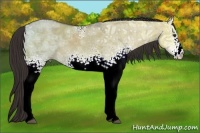 Horse Color:White Spotted Liver Red Dun Ice 