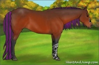 Horse Color:Painted Brown 