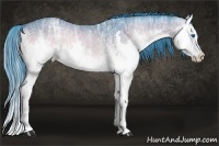 Horse Color:Watercolor Buckskin Ice Onyx Splash Rabicano