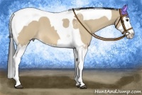 Horse Color:Bay Roan Dun Splash Tobiano 