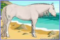 Horse Color:Smoky Creme 
