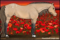 Horse Color:Buckskin Roan Varnish 