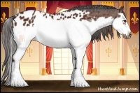 Horse Color:Bay Splash Frame Appaloosa 