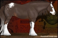 Horse Color:Liver Chestnut Sabino Splash Varnish 